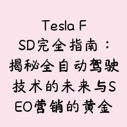 Tesla FSD完全指南：揭秘全自动驾驶技术的未来与SEO营销的黄金机遇